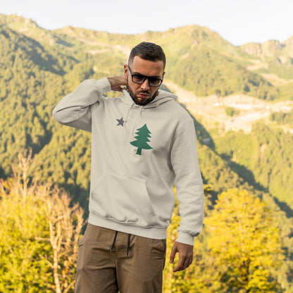 Original 1901 Maine State Flag Hooded Sweatshirt